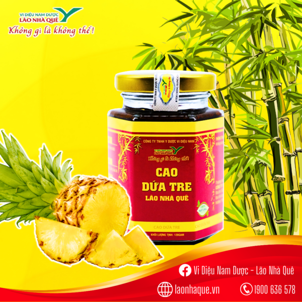 cao dứa tre, lão nhà quê