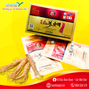 sâm hàn quốc, lão nhà quê